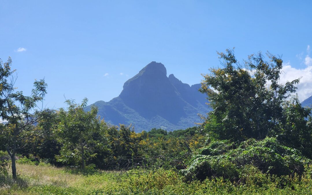 TAMARIN – Terrain offrant vue montagne à saisir rapidement!