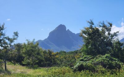 TAMARIN – Terrain offrant vue montagne à saisir rapidement!