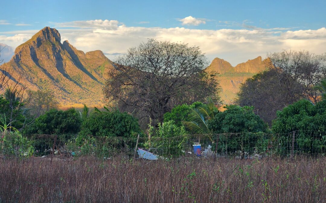 TAMARIN – Superbe terrain de 50 perches à vendre – Opportunité à saisir!