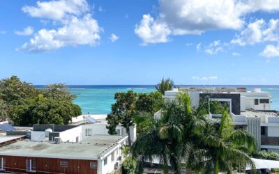 MON CHOISY – Magnificent 3 bedrooms penthouse, large terrace, beautiful sea view