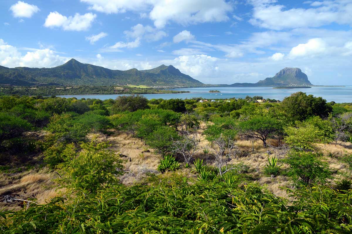 Terrain pour promoteur à l’île Maurice