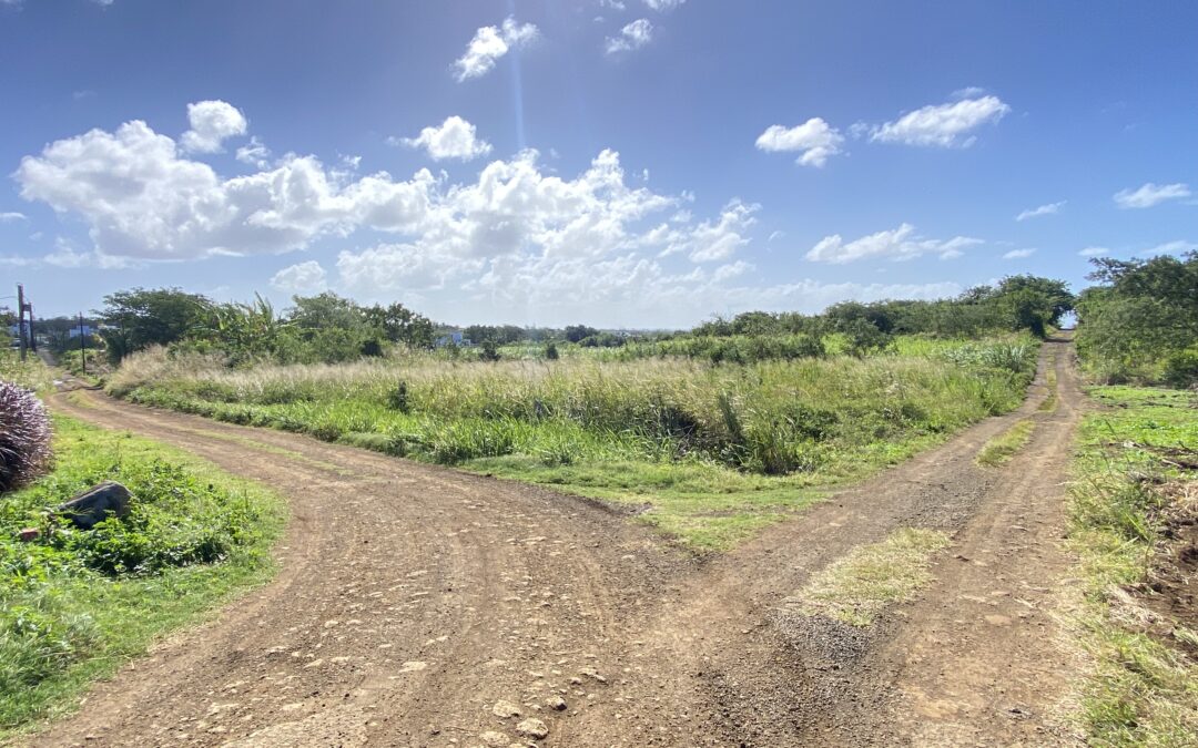 The Vale – Vente d’un terrain constructible proche Forêt Daruty