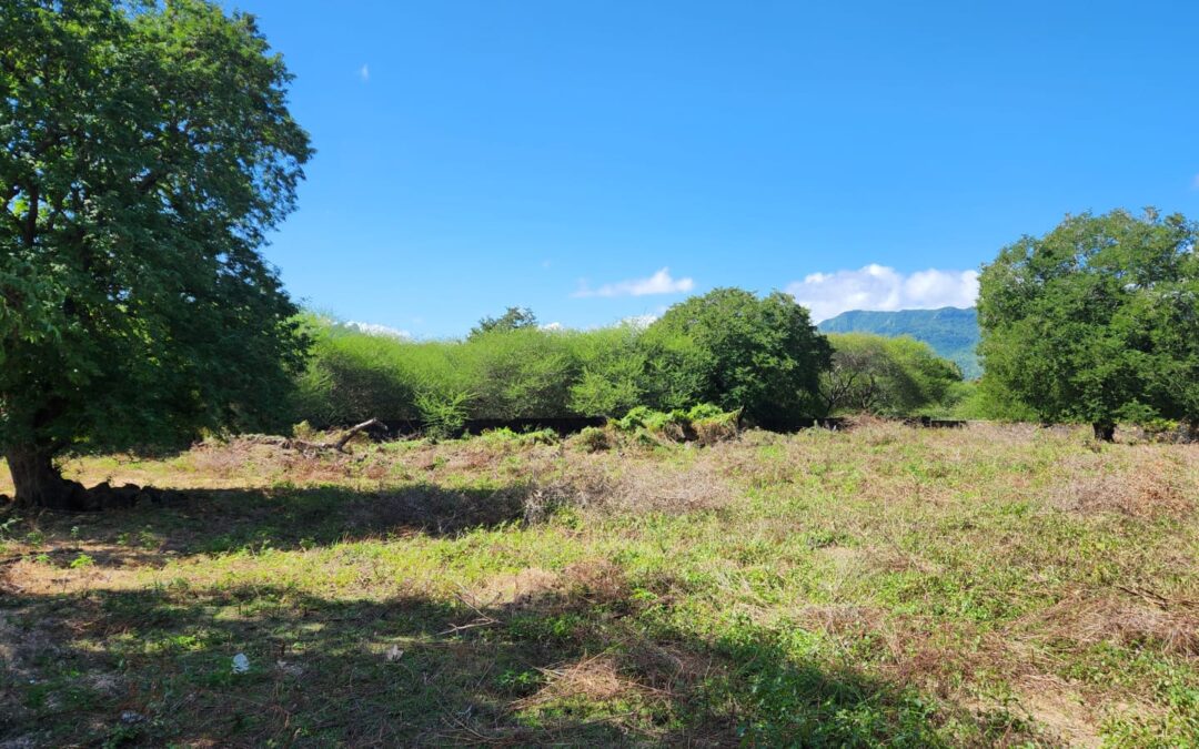 TAMARIN – Terrain dans un domaine privé et sécurisé