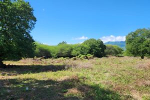 Terrain à vendre à Tamarin