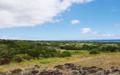 BELLE OMBRE – Heritage VALRICHE Land