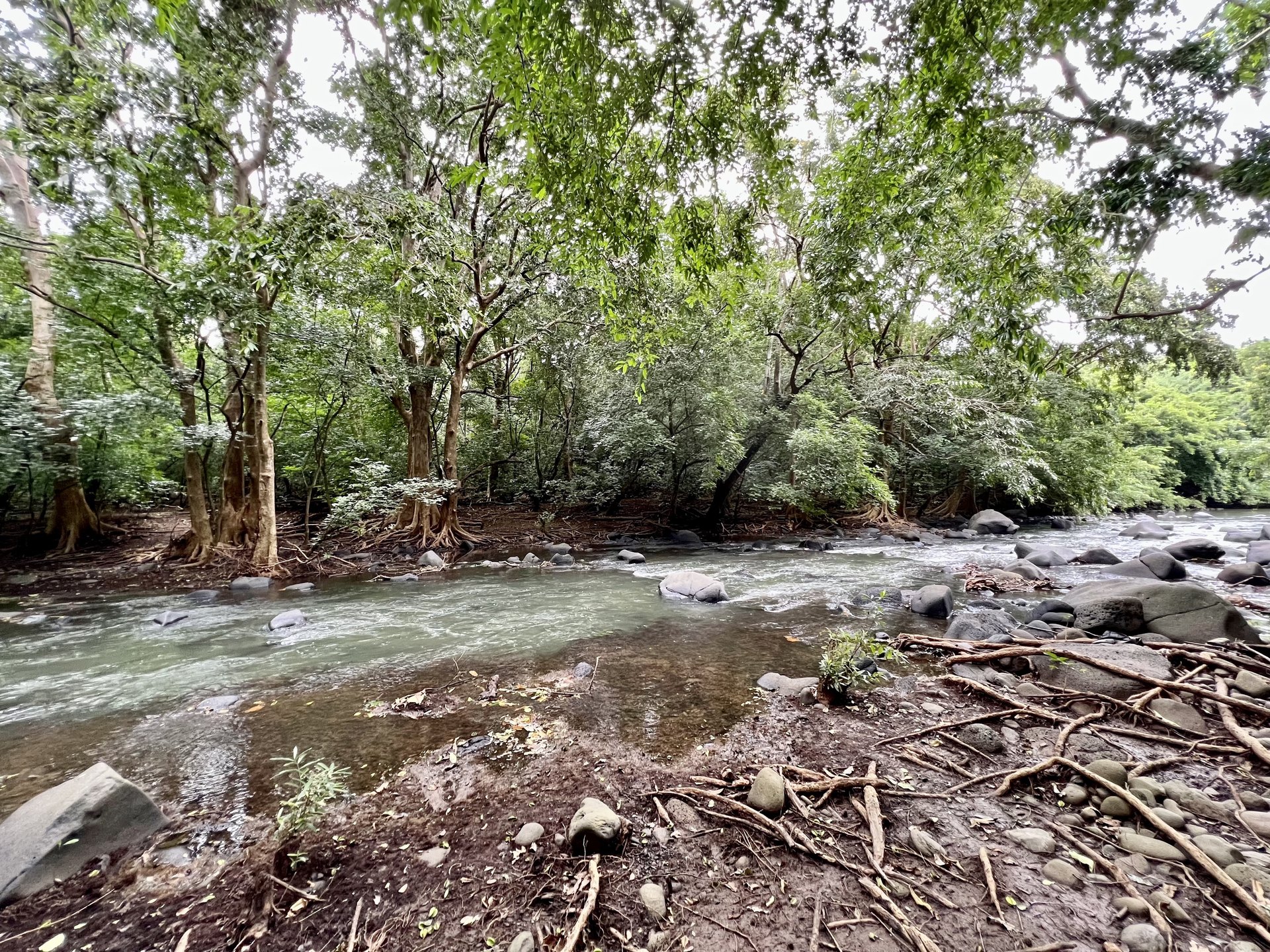 Berge boisée de la rivière Tamarin aux terrains Riverfront