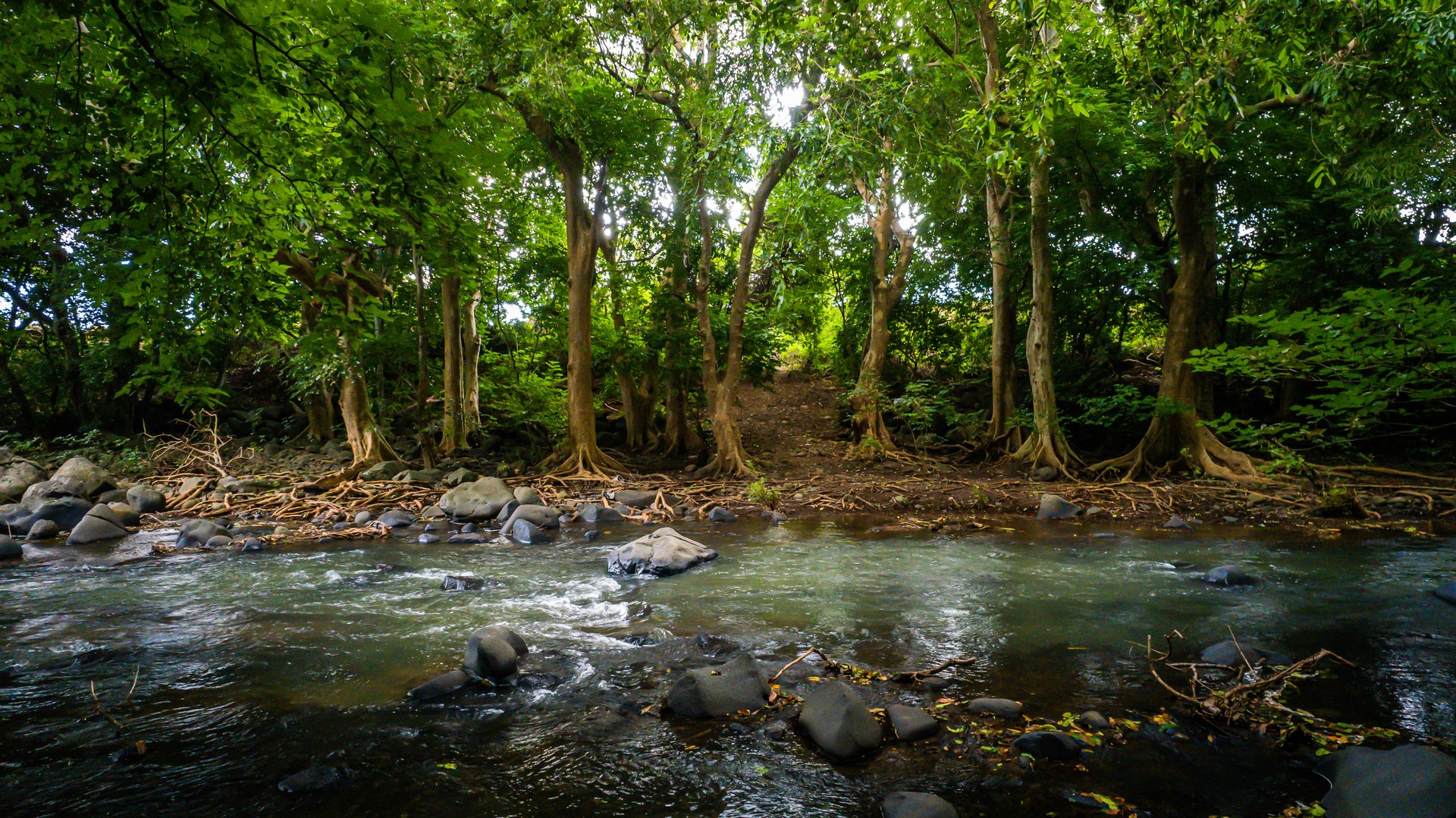 La rivière Tamarin bordant les terrains Riverfront, Cap Tamarin île Maurice