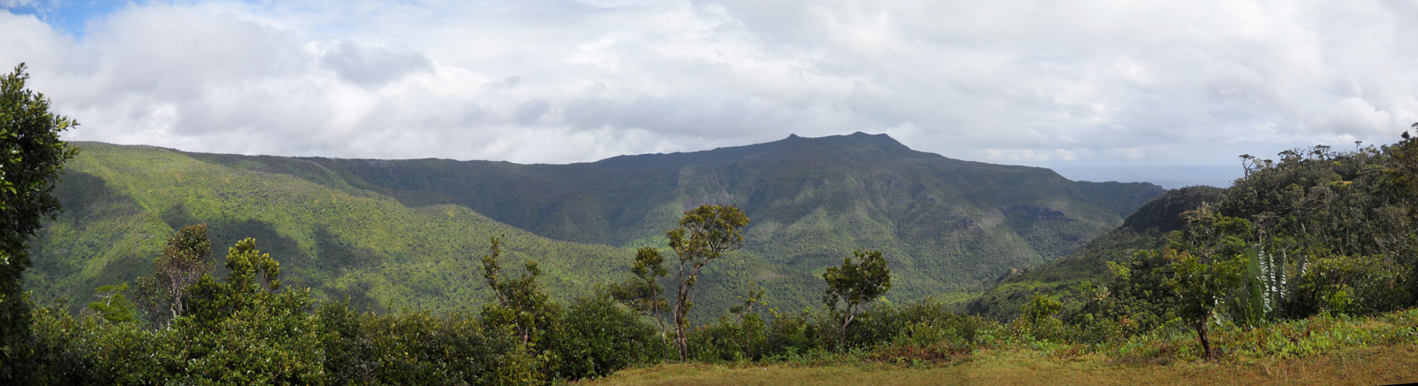 Panorama des gorges de Rivière Noire depuis un belvédère du parc national – île Maurice