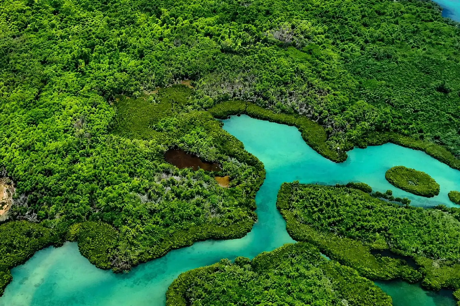 Le lagon et la mangrove de l’île d’Ambre, nord-est de l’île Maurice