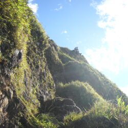 Hiking in Mauritius, trails and summits