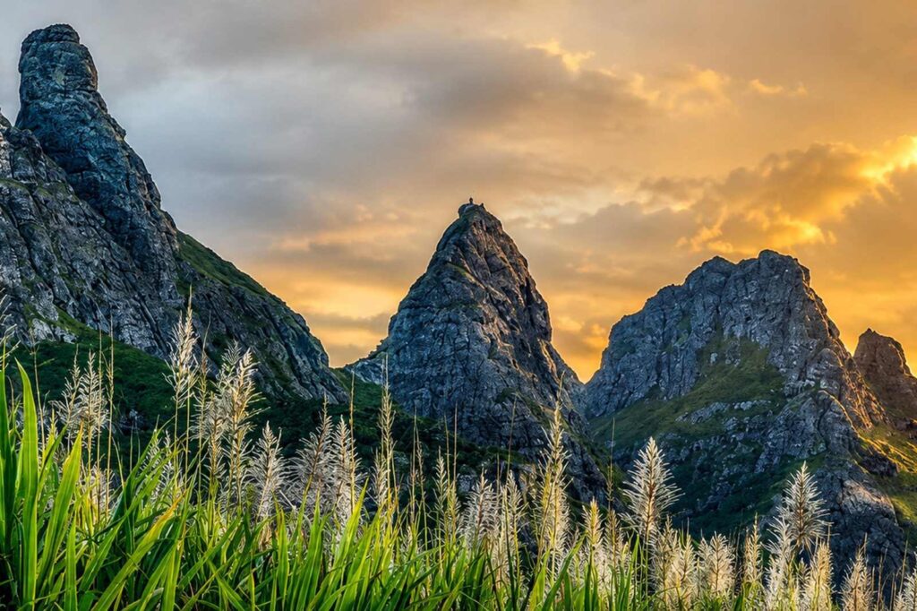 Trail running à l’île Maurice : le Dodo Trail et les terrains d’entraînement
