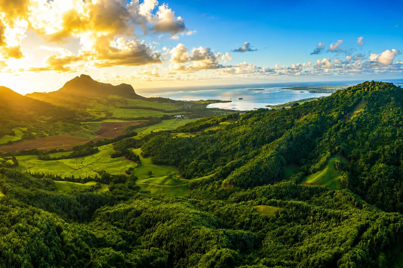 La vallée boisée de Ferney dans le Sud-Est de l’île Maurice