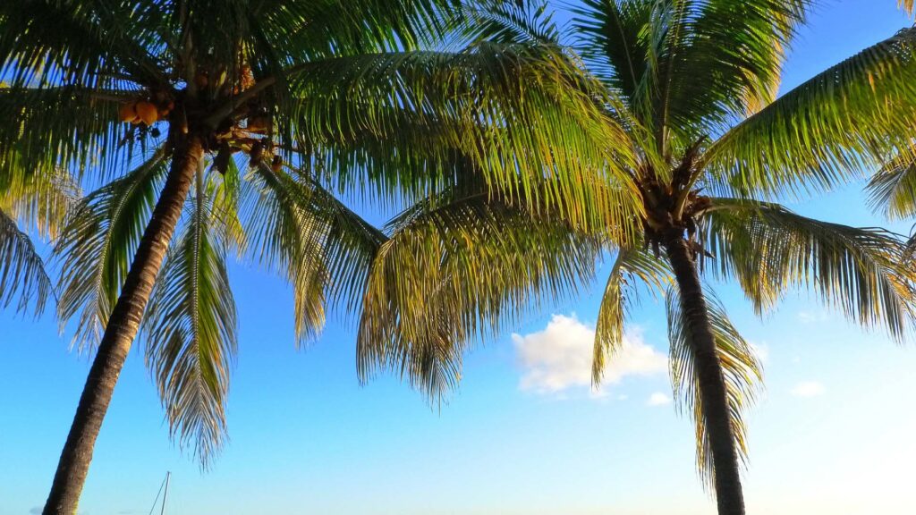 Mauritius: A Journey Through Its Fascinating History – Part One