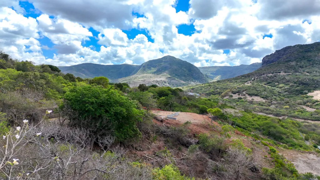 Terrain du Domaine de Palmyre avec vue sur les montagnes et la nature endémique de Rivière Noire