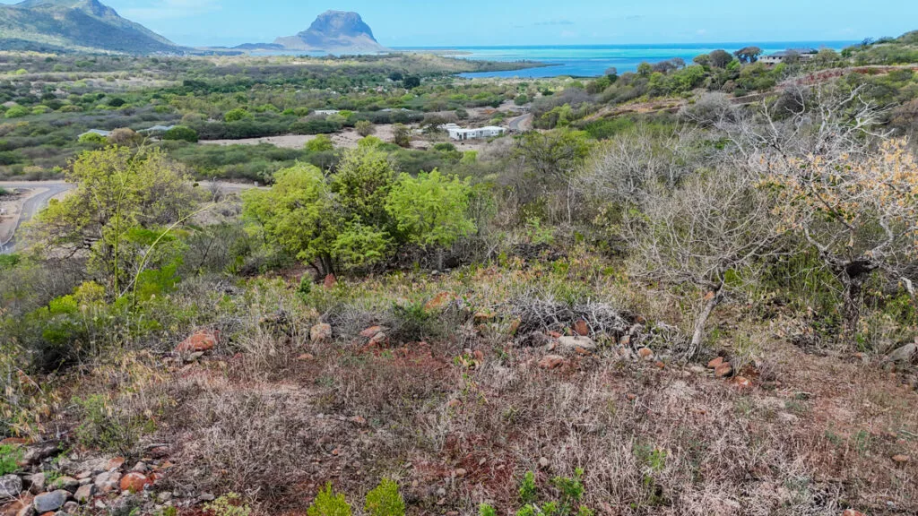 Terrain viabilisé à vendre au Domaine de Palmyre avec vue sur le lagon et Le Morne, Rivière Noire, île Maurice