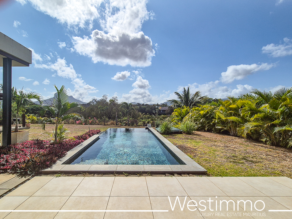 AKASHA - FEATURE IMAGE WESTIMMO