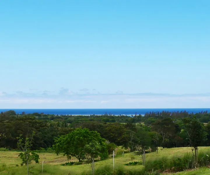 Land for sale in Mauritius